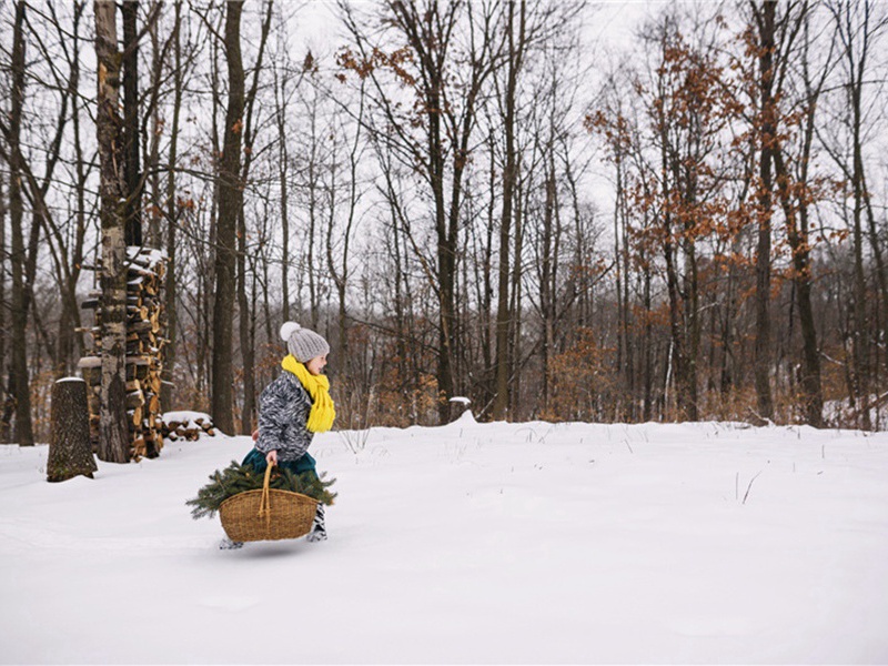 和经略焕章朱公千叶白梅诗原文注释译文赏析-胡长卿诗词-宋诗全集