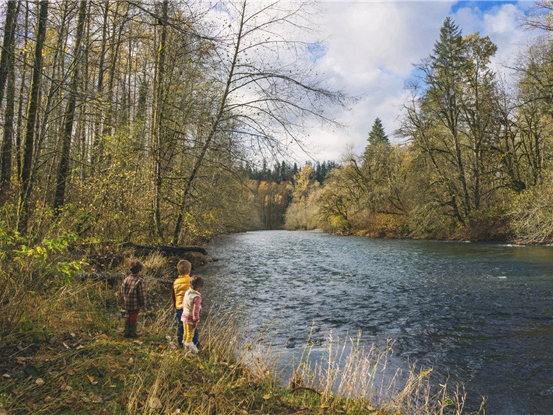 戏答野人二首·其一原文注释译文赏析-陆游诗词-宋诗全集