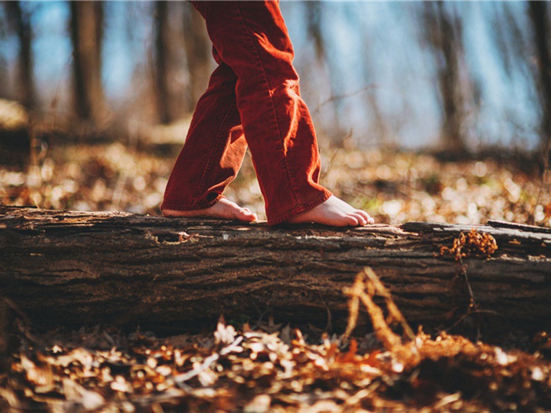 和总幕刘景文题杜立斋遗翰诗韵原文注释译文赏析-李曾伯诗词-宋诗全集