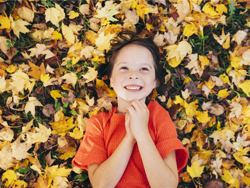 忆渊明二首·其一原文注释译文赏析-冯时行诗词-宋诗全集