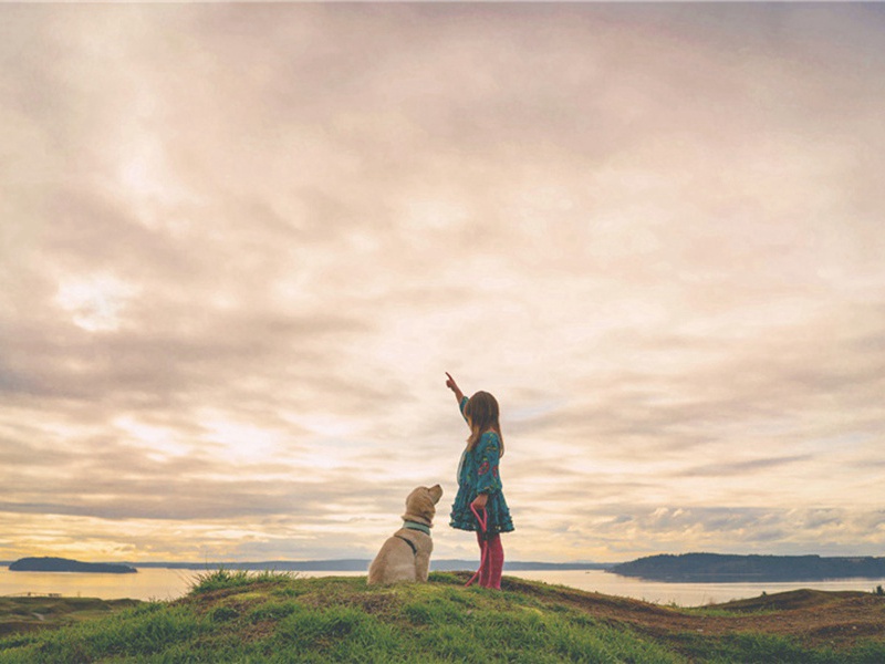 次韵隐者陈无隅·其一原文注释译文赏析-李弥逊诗词-宋诗全集