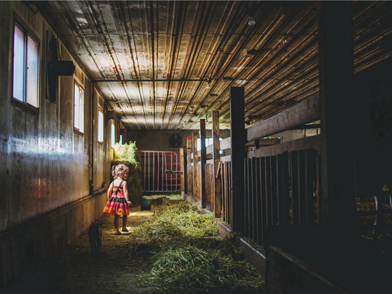 题李子厚万梅原文注释译文赏析-黎廷瑞诗词-宋诗全集