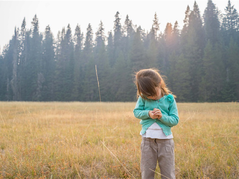 九日·其一原文注释译文赏析-韩淲诗词-宋诗全集