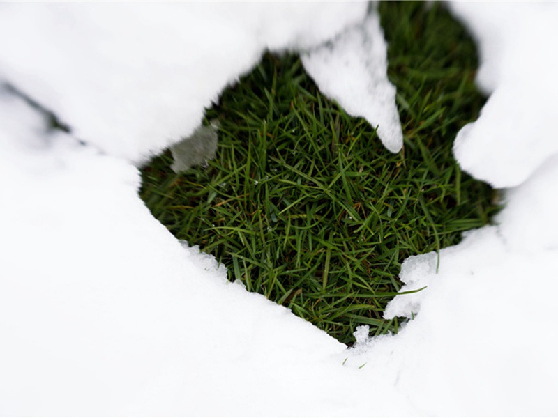 赠歌者原文注释译文赏析-林尚仁诗词-宋诗全集