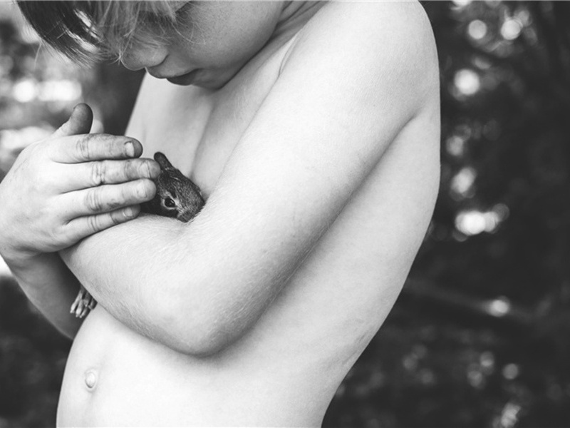 送鄞江窦尉原文注释译文赏析-范仲淹诗词-宋诗全集