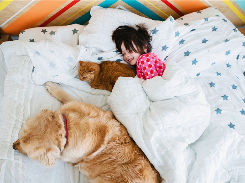 明月原文注释译文赏析-韩淲诗词-宋诗全集