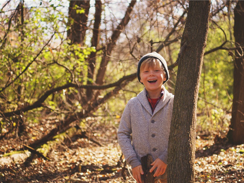 思蜀二首·其二原文注释译文赏析-陆游诗词-宋诗全集