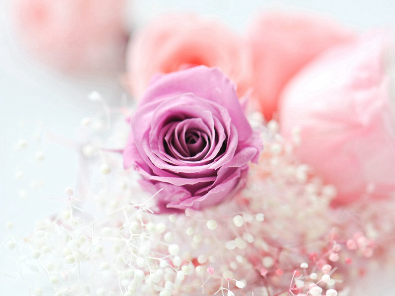 祷雨有应和郡广文希白韵原文注释译文赏析-程公许诗词-宋诗全集