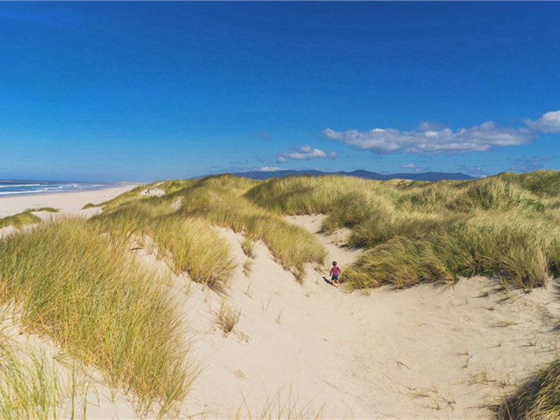 客庐山道中寄中上座·其三原文注释译文赏析-李彭诗词-宋诗全集