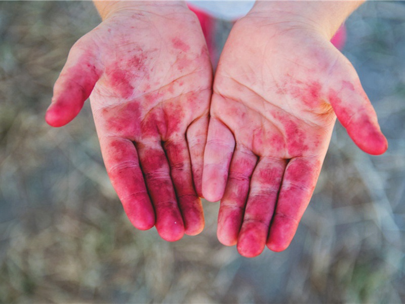 予夏中卧病起已见落叶因取渊明诗门庭多落叶慨然知已秋赋十章遣兴·其二原文注释译文赏析-李彭诗词-宋诗全集