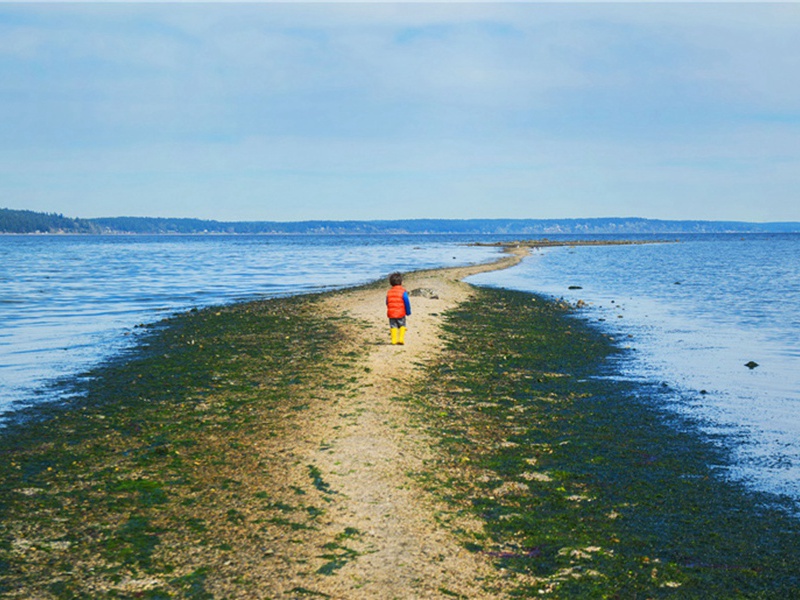 戊申年七夕五绝·其一原文注释译文赏析-刘筠诗词-宋诗全集