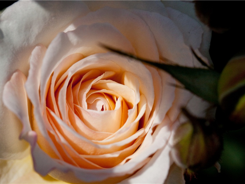 读宣枢南山朱公遗集二首·其二原文注释译文赏析-方回诗词-宋诗全集