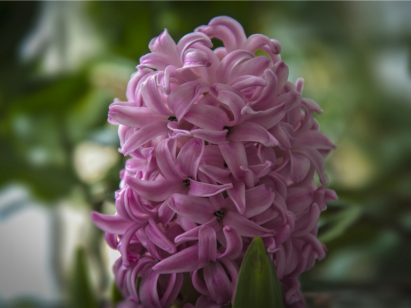 泛汝联句原文注释译文赏析-韩维诗词-宋诗全集