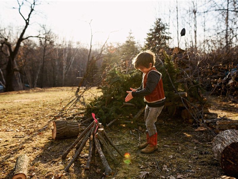 横山原文注释译文赏析-胡宿诗词-宋诗全集