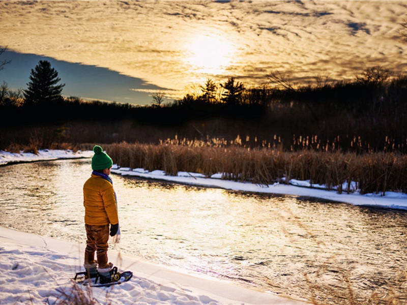 喷雪泉原文注释译文赏析-胡铨诗词-宋诗全集