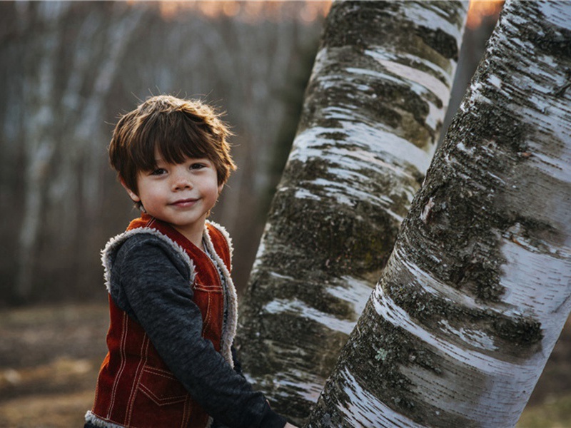 送施徽州二首·其一原文注释译文赏析-韩元吉诗词-宋诗全集