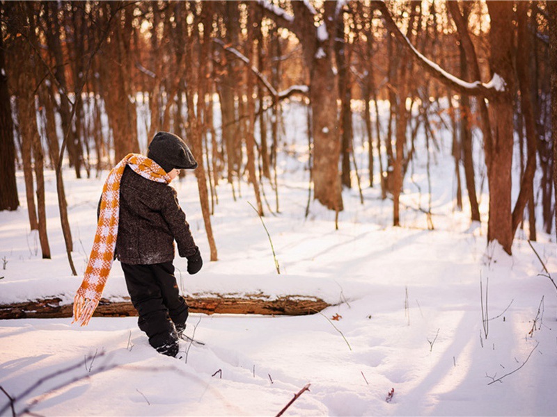 留题壁间原文注释译文赏析-李彭诗词-宋诗全集
