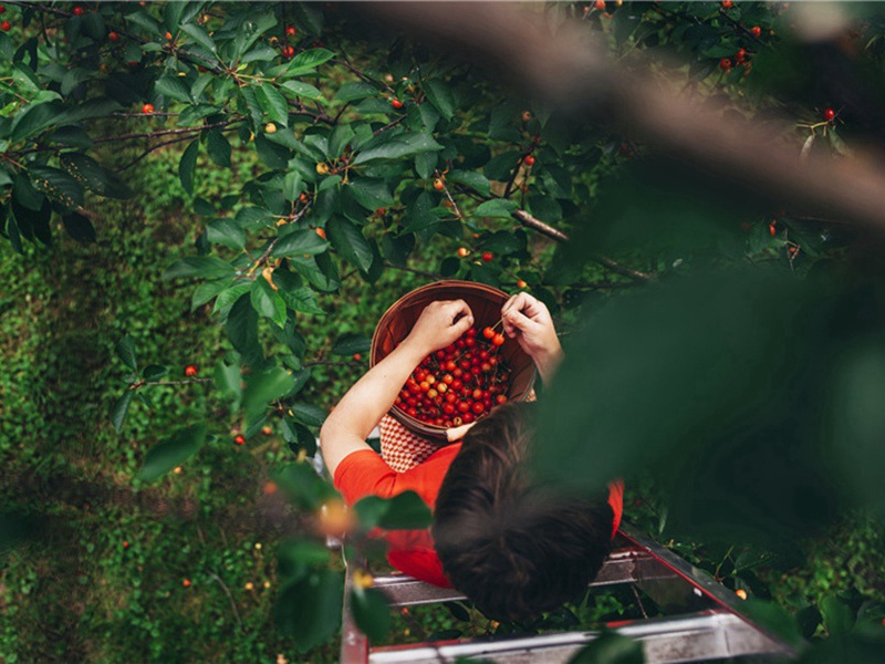 次韵北使邀观常丰湖原文注释译文赏析-洪适诗词-宋诗全集