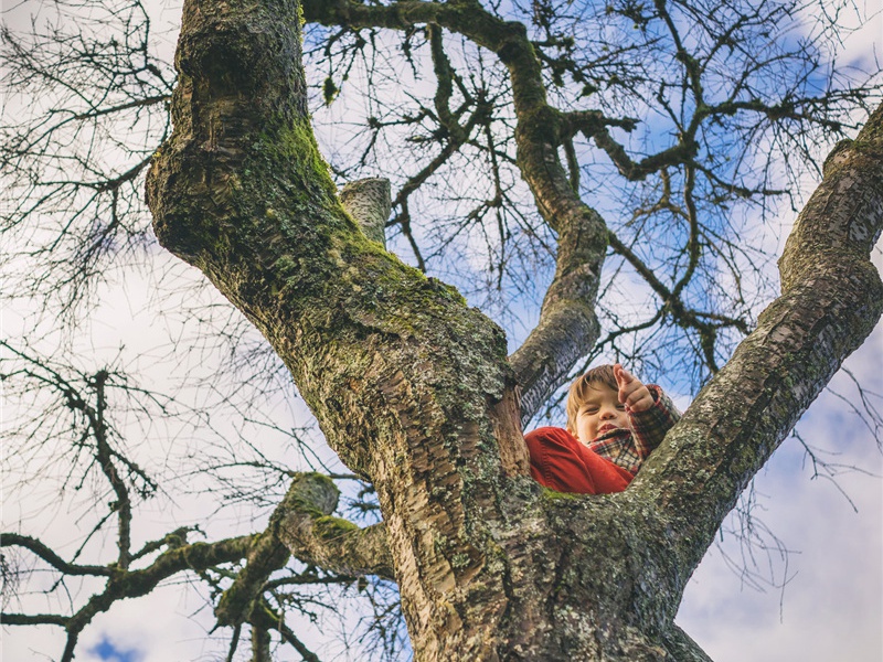 十六日·其三原文注释译文赏析-韩淲诗词-宋诗全集