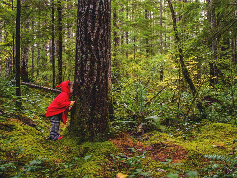 天庆道士何丹林作亭竹间方成予名之以秀野因留小诗原文注释译文赏析-李弥逊诗词-宋诗全集