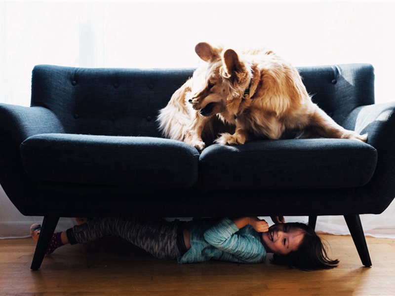 次韵昌甫送周正子入太学原文注释译文赏析-韩淲诗词-宋诗全集