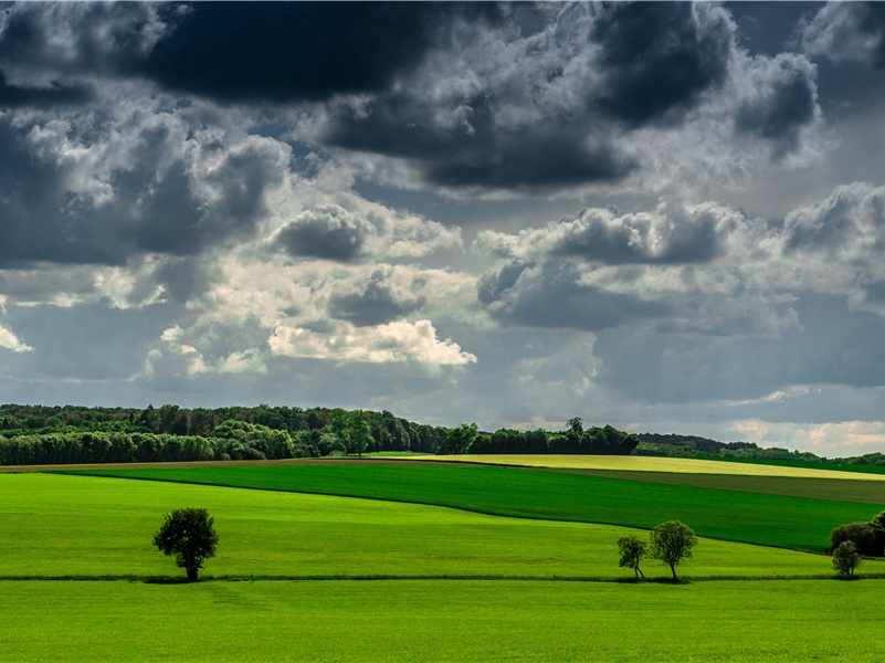 袁兴国挽词二首·其一原文注释译文赏析-方回诗词-宋诗全集