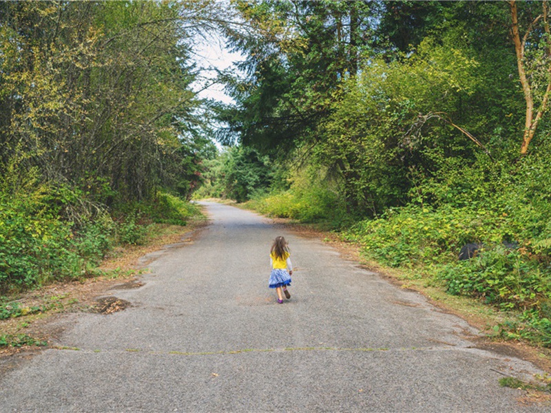 古柳原文注释译文赏析-洪适诗词-宋诗全集
