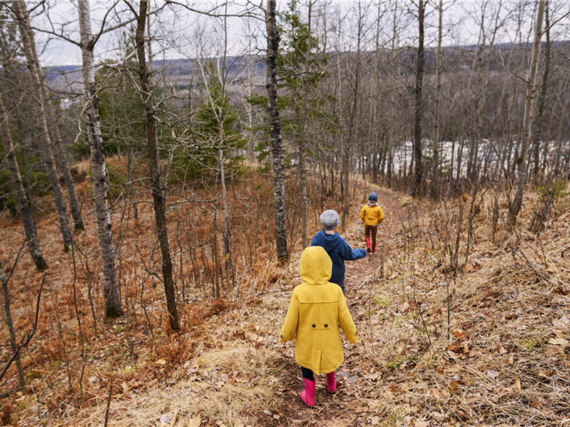 盘洲杂韵上·真珠原文注释译文赏析-洪适诗词-宋诗全集