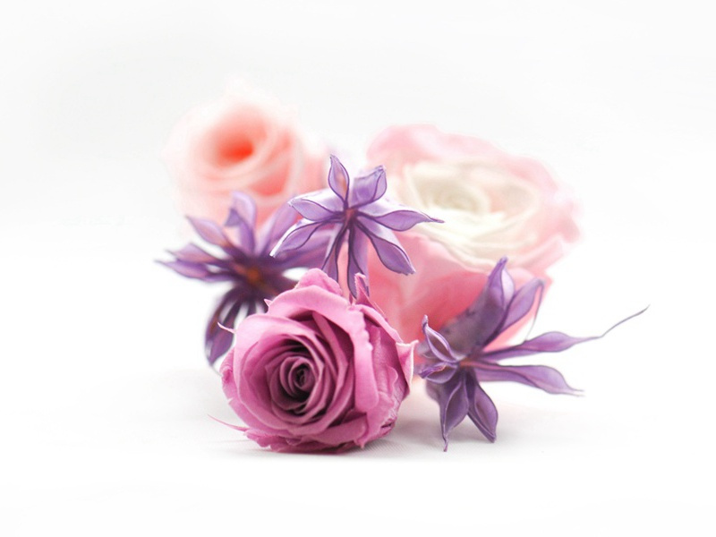 八音诗·其五原文注释译文赏析-孔平仲诗词-宋诗全集