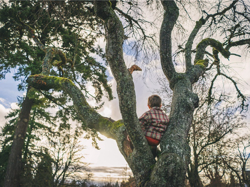 到官归志浩然二绝句·其二原文注释译文赏析-黄庭坚诗词-宋诗全集