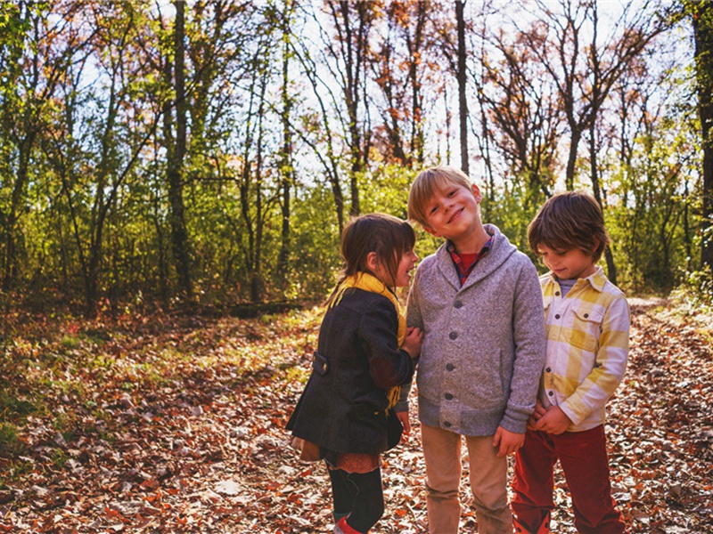 雨多极凉冷原文注释译文赏析-韩淲诗词-宋诗全集