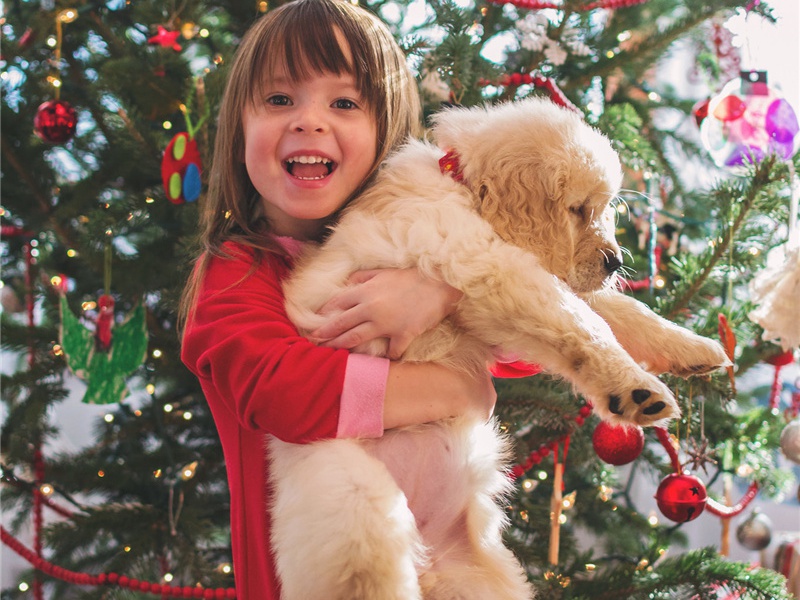 咏松·其三原文注释译文赏析-胡仲弓诗词-宋诗全集