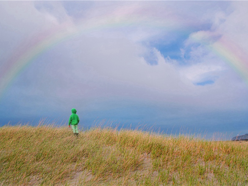 送季元衡教授赴调原文注释译文赏析-洪适诗词-宋诗全集