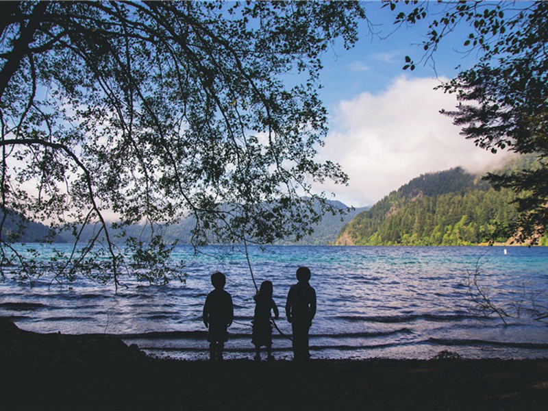 杂咏下·绿毛龟原文注释译文赏析-洪适诗词-宋诗全集