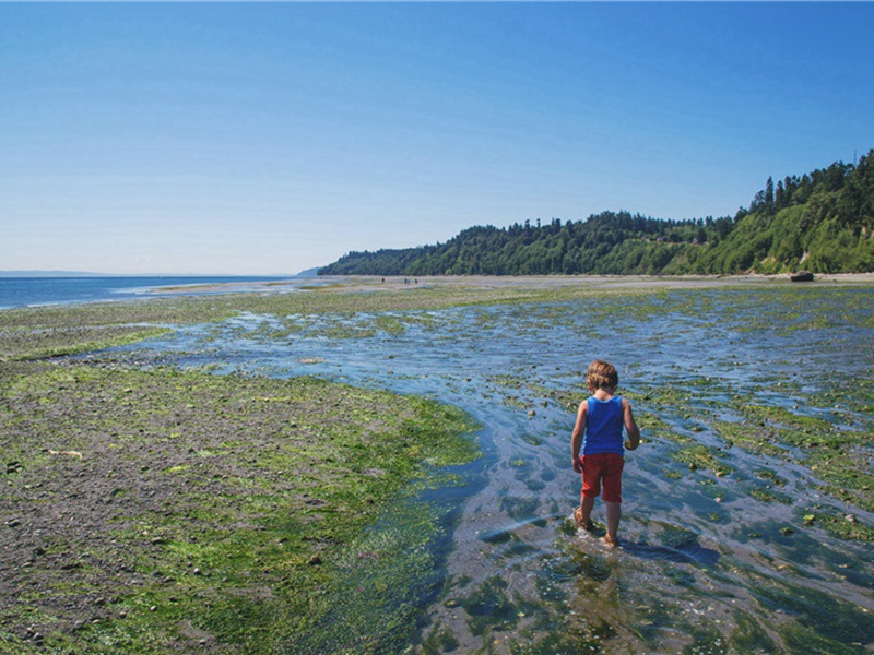 所居二室号书痴禅悦各成一诗·书痴原文注释译文赏析-葛立方诗词-宋诗全集