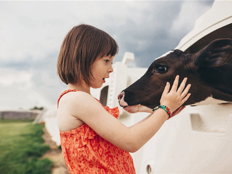 寄希真原文注释译文赏析-李处权诗词-宋诗全集