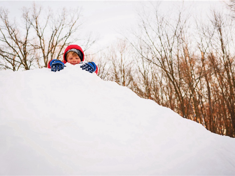南安岩主定应大师真赞原文注释译文赏析-黄庭坚诗词-宋诗全集