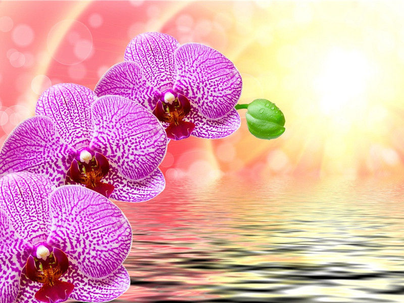 置酒北郊外送张真甫还什邡原文注释译文赏析-晁公遡诗词-宋诗全集