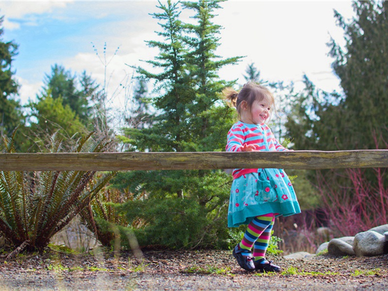 道山座主先生平章吕公挽歌辞五首·其三原文注释译文赏析-方回诗词-宋诗全集