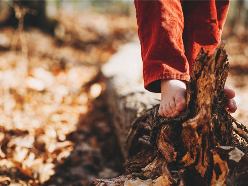 次韵正平见赠道予游山北胜处·其二原文注释译文赏析-李彭诗词-宋诗全集