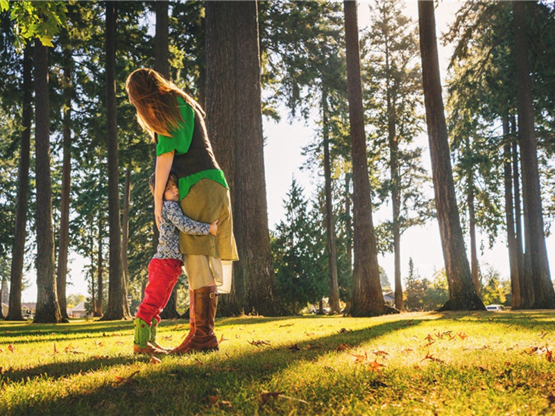 用仲秉韵贻照老原文注释译文赏析-李流谦诗词-宋诗全集