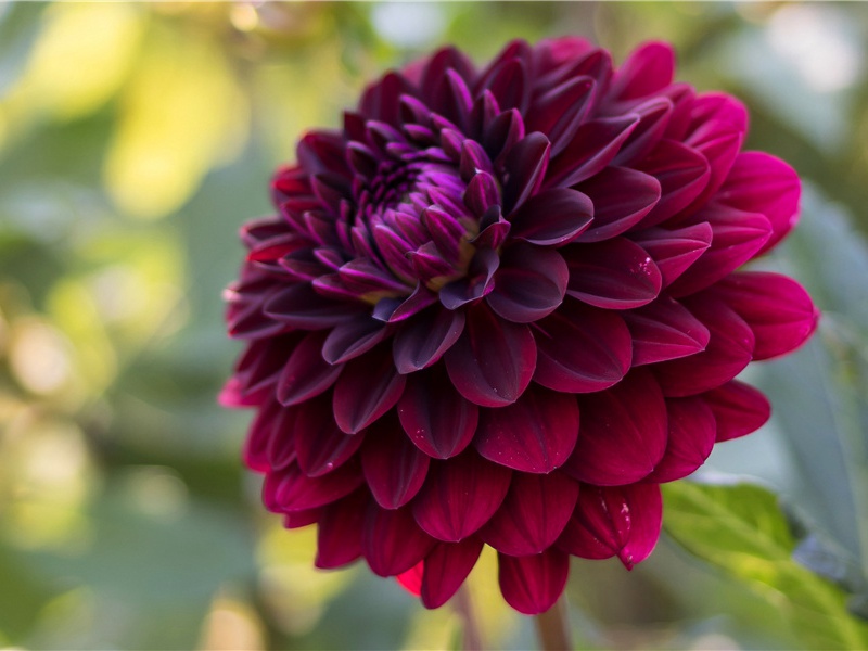 秋晚原文注释译文赏析-晁说之诗词-宋诗全集