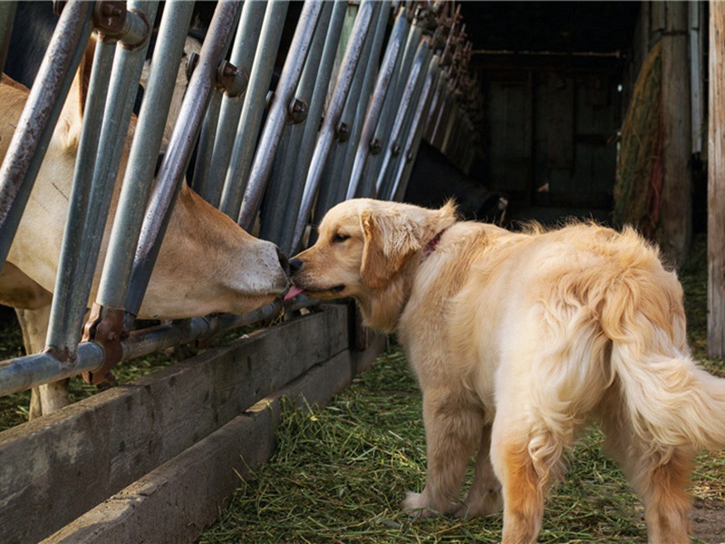 以形模妇女笑度量儿童轻为韵赋十诗·其九原文注释译文赏析-李彭诗词-宋诗全集