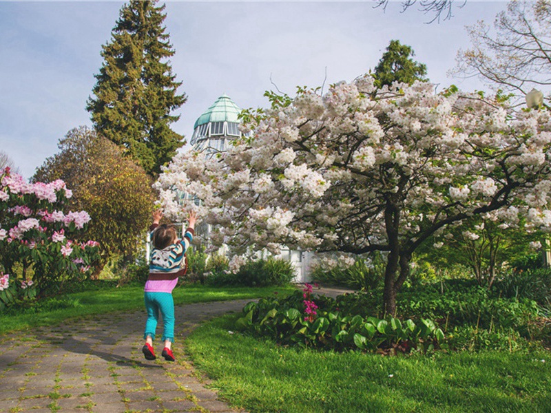 次韵李全甫惠荼蘼五首·其四原文注释译文赏析-廖刚诗词-宋诗全集