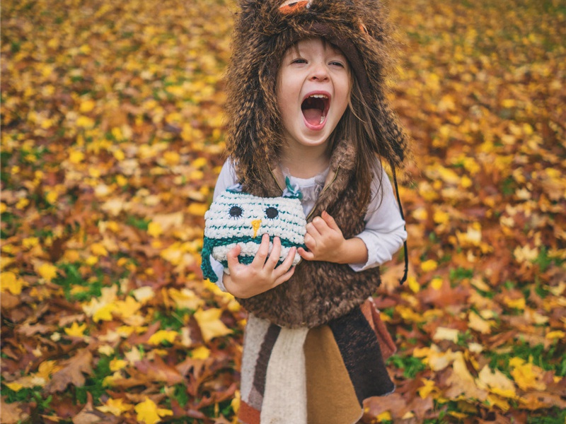 次韵李子京宋城道中诗三首·其一原文注释译文赏析-葛胜仲诗词-宋诗全集