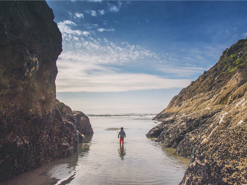 秋日晚晴池上作原文注释译文赏析-寇准诗词-宋诗全集