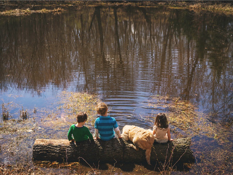 景仁次道斋礼院予与和叔过之值其方饮引去二君以诗见谢三首·答景仁原文注释译文赏析-韩维诗词-宋诗全集