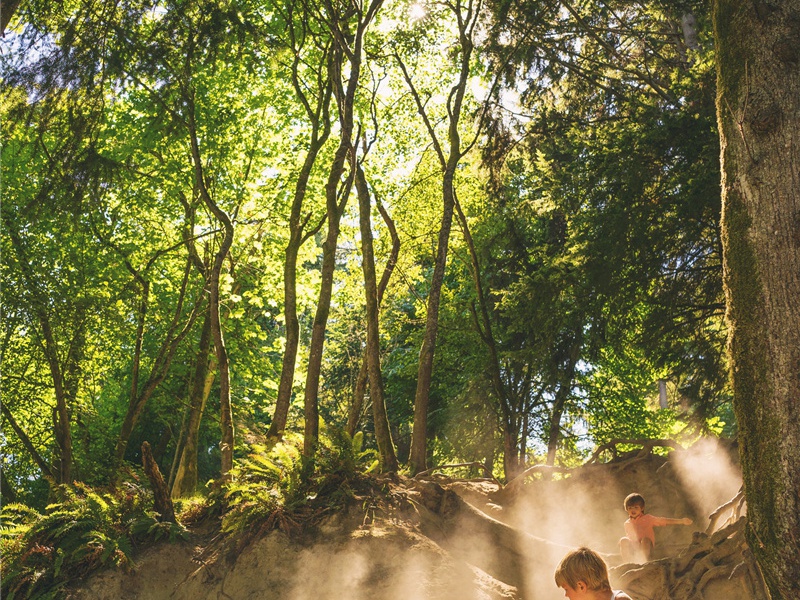 壬子寒食会压沙寺二首·其一原文注释译文赏析-韩琦诗词-宋诗全集