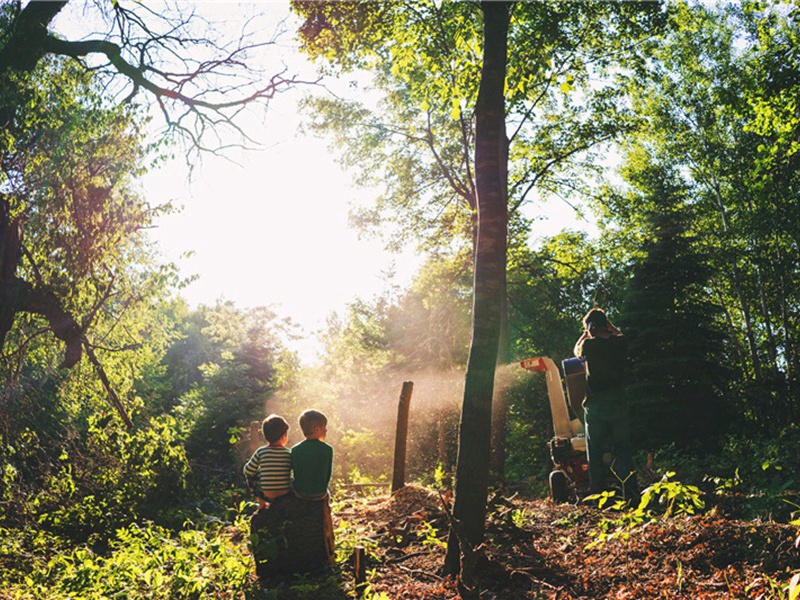 醉书酒肆原文注释译文赏析-葛天民诗词-宋诗全集