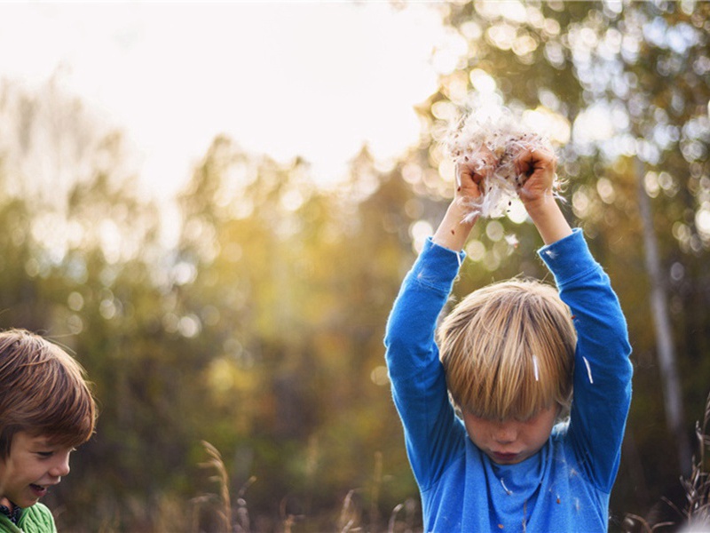 李宗古出示谢李道人苕帚杖从蒋彦回乞葬地二颂作二诗奉呈·其二原文注释译文赏析-黄庭坚诗词-宋诗全集